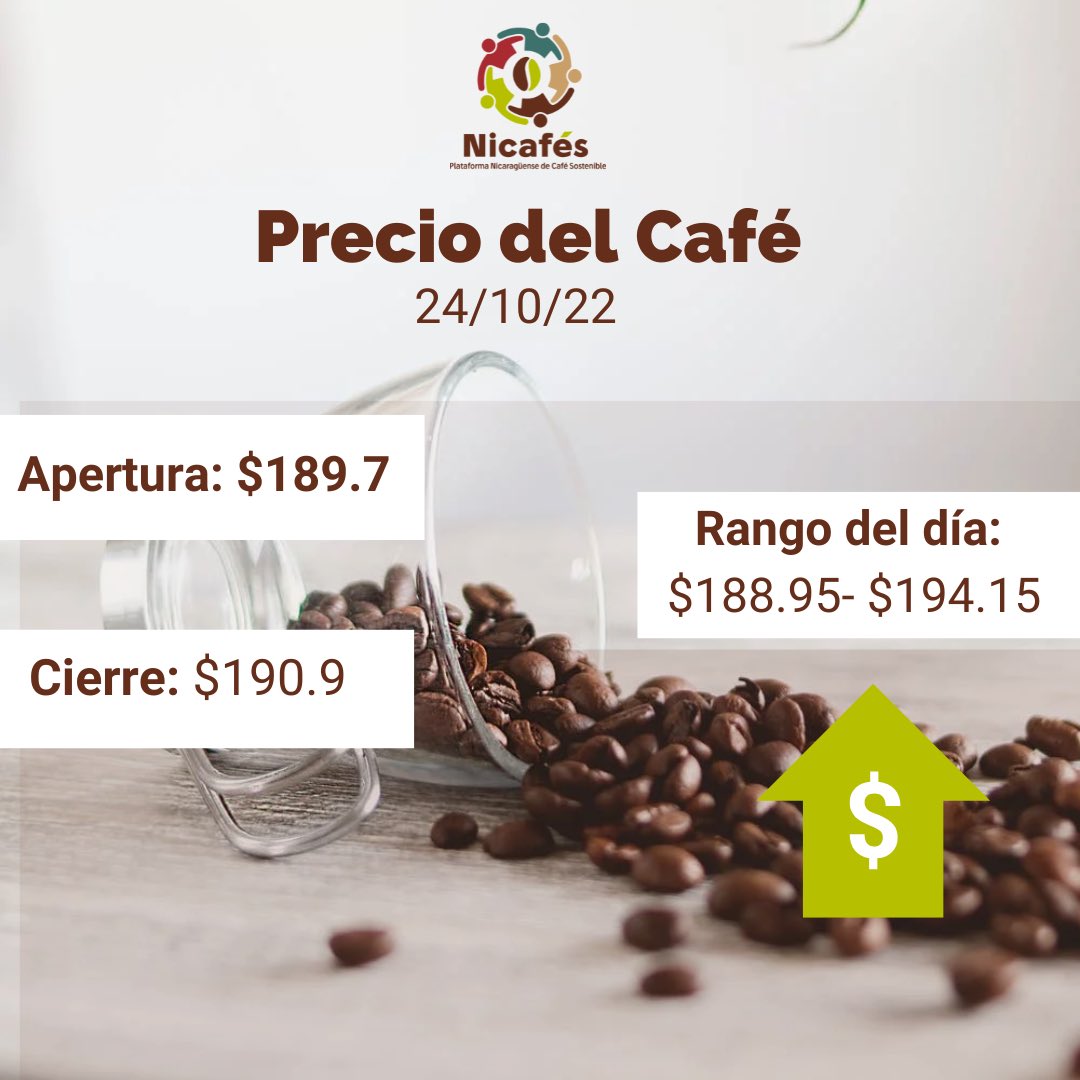 Plataforma Nicaragüense de Café Sostenible tweet media