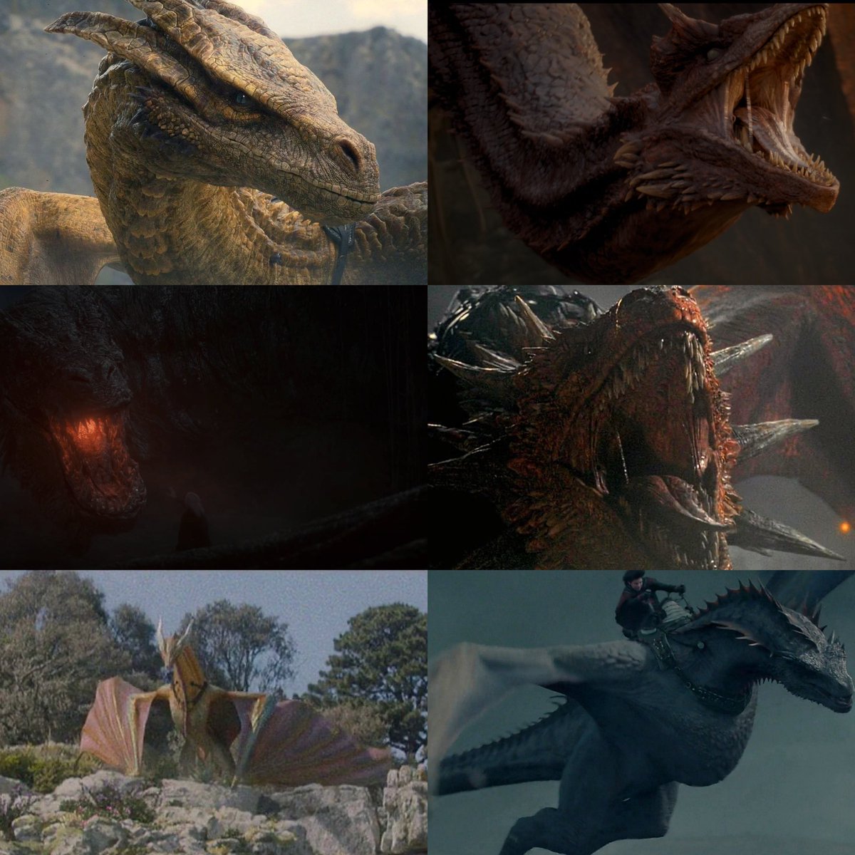 DreamofASOIAF's tweet photo. Big shoutout to HBO for using real dragons instead of CGI, hope everyone was safe during filming #HouseOfTheDragon https://t.co/pAV5xcROZs