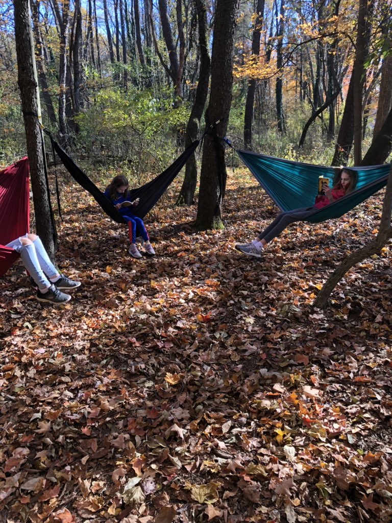 mrsjodihetman's tweet image. Nothing beats a book in a hammock! #NEST #LandLab #ELAinNature @Miss_Sokolowski