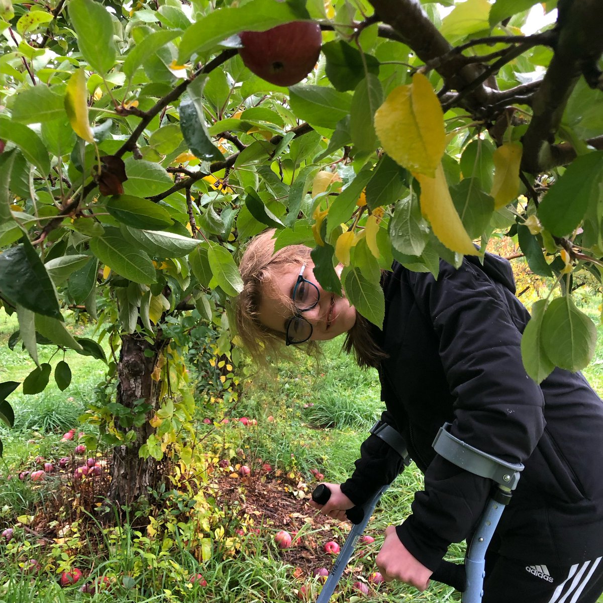 LABBB Recreation on Twitter: 