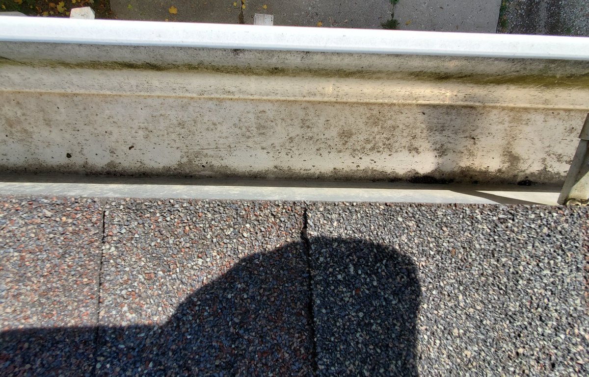 EandSPowerWash's tweet photo. Gutter Cleaning / Gutter Clean-Out in Livonia, Michigan
#LivoniaMichigan #Livonia #Michigan #WayneCounty #Gutters #Cleaning #GutterCleaning #GutterCleanOut #EandSPowerWashing https://t.co/viLYswWv3k