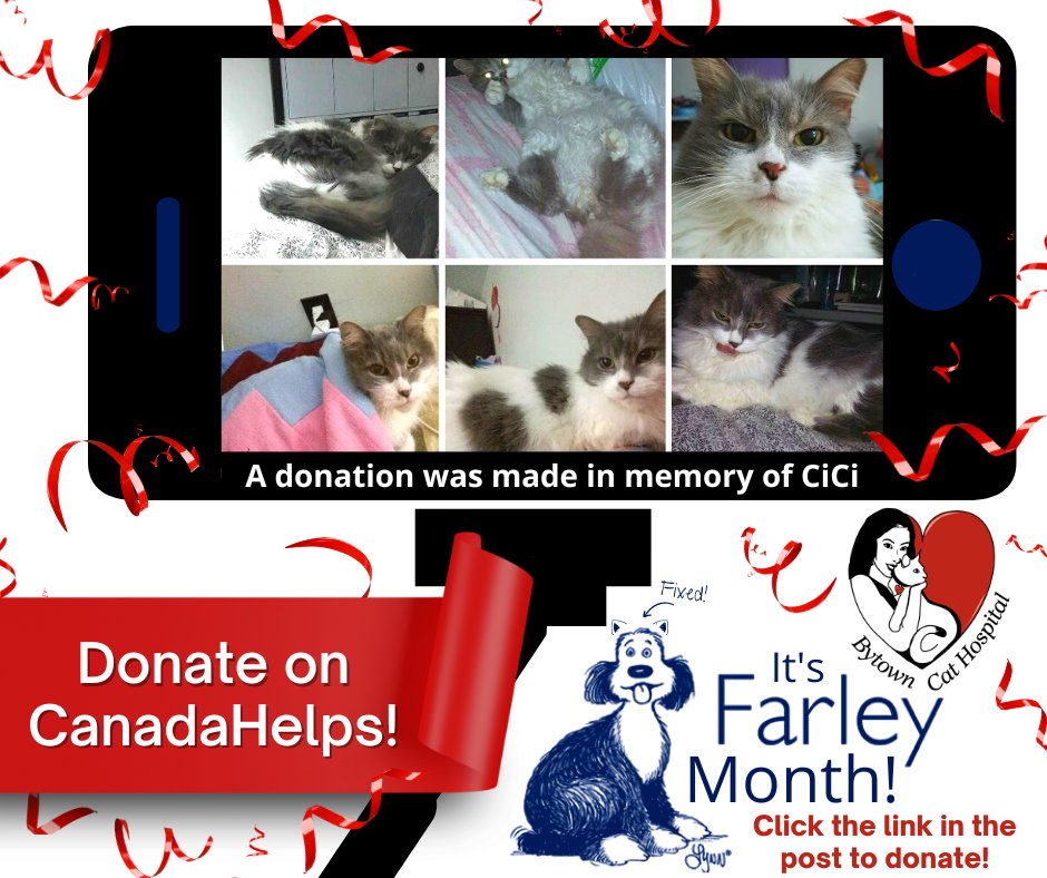 TheCatHospitals's tweet photo. Roxanne made a donation to our #FarleyMonth fundraiser for .@Farleyfndation in memory of her beloved cat CiCi. Thank you for helping us help #cats in our community. Want your cat to be featured? Donatevia CanadaHelps! https://t.co/x4l7ObisWQ
#CatsofTwitter #OVMA #CanadaHelps https://t.co/m28IdnASiH