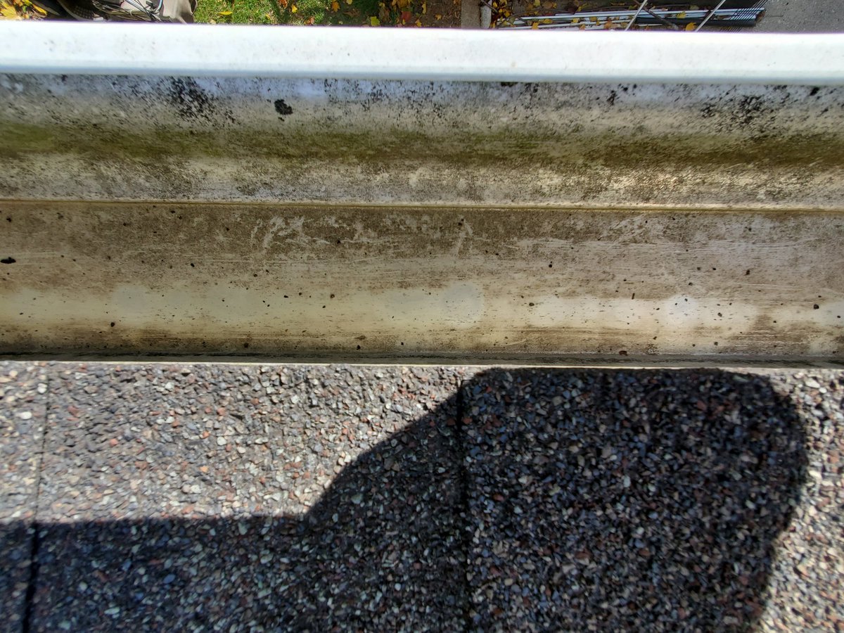EandSPowerWash's tweet photo. Gutter Cleaning / Gutter Clean-Out in Livonia, Michigan
#LivoniaMichigan #Livonia #Michigan #WayneCounty #Gutters #Cleaning #GutterCleaning #GutterCleanOut #EandSPowerWashing https://t.co/viLYswWv3k