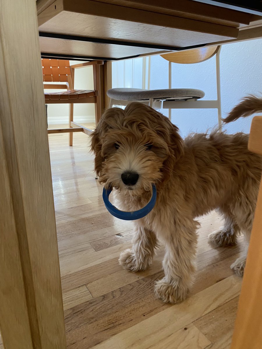 👸🏼🙄 Fiona tweet media