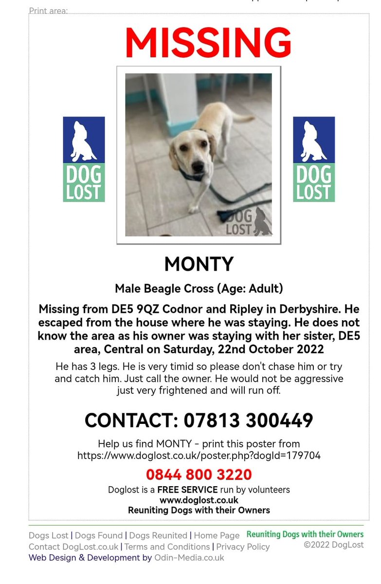 The_Animal_Team's tweet photo. We are devastated that one of Wags' #dogs #Monty has gone #missing from #Codnor &amp; #Ripley #DE5 area, in #Derbyshire on Saturday, 22/10. He is a tripaw &amp; very nervous &amp; does not know the area. ‼️ ON NO ACCOUNT CHASE ‼️ Sightings on number below.⬇️https://t.co/1d9cyN3YER #BeagleX https://t.co/PhMaiSzZoW