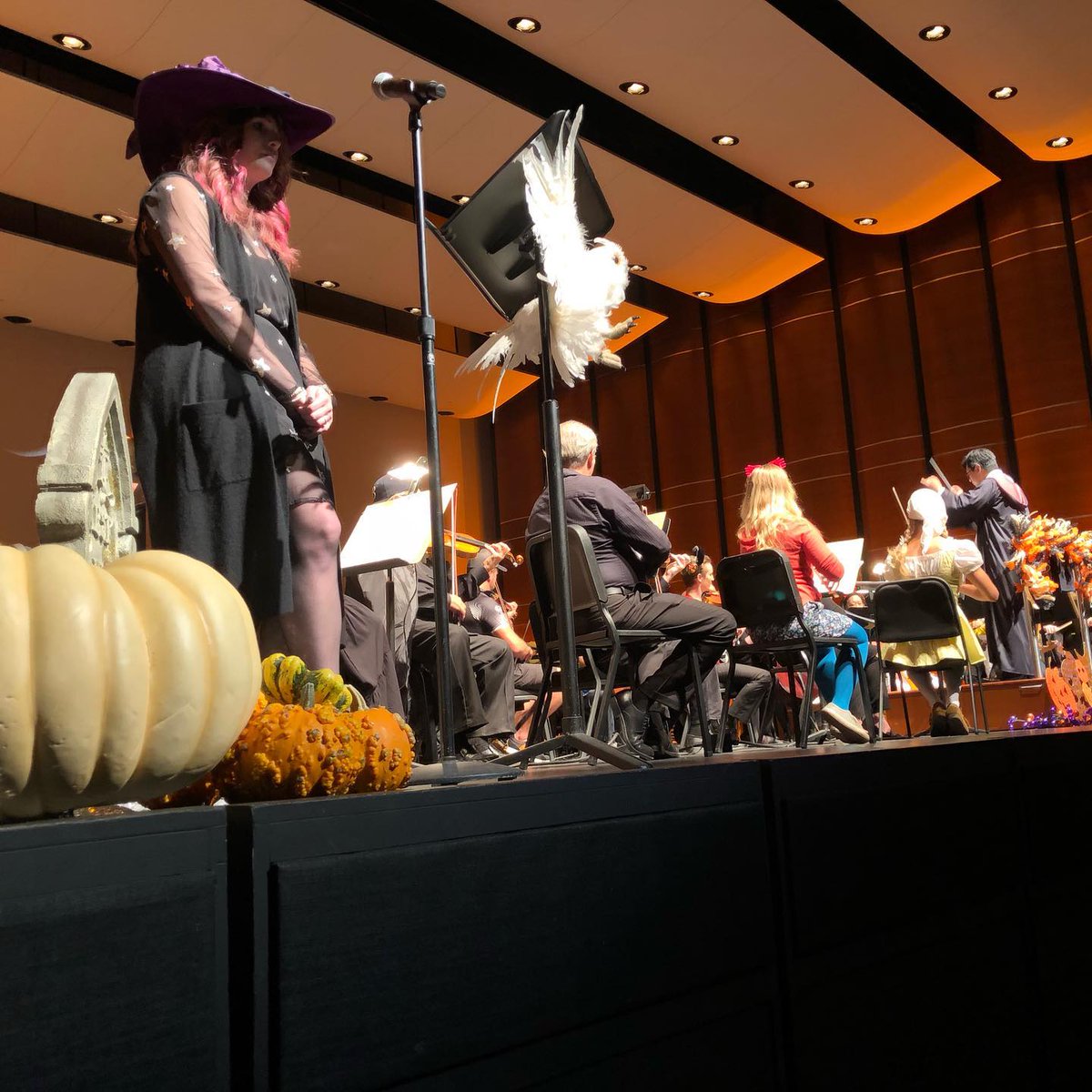 Austin Symphony Orchestra tweet media
