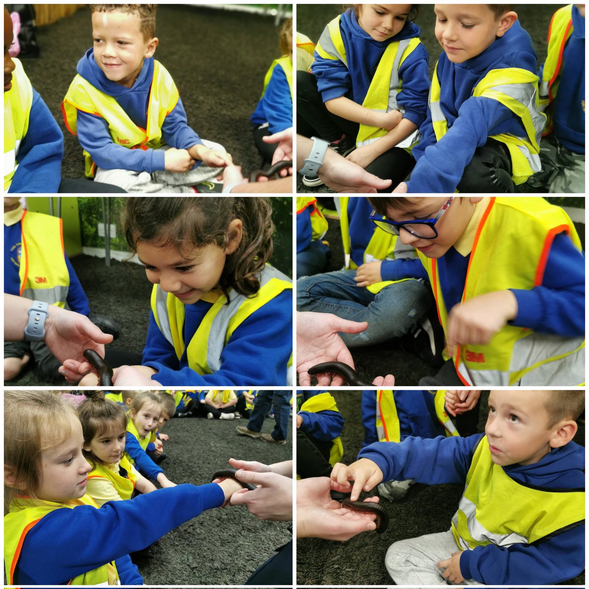portmeadp's tweet photo. Year 2 loved their trip to Plantasia as part of their Brazil / Rainforest topic🌴🌳🌱🌿🍃.
We had a workshop where we were able to hold some cool creatures 🐍🐌🕷️🐸! #pmdpy2 #pmdpst #pmdptopic #pmdphum https://t.co/cl3lda9LEm