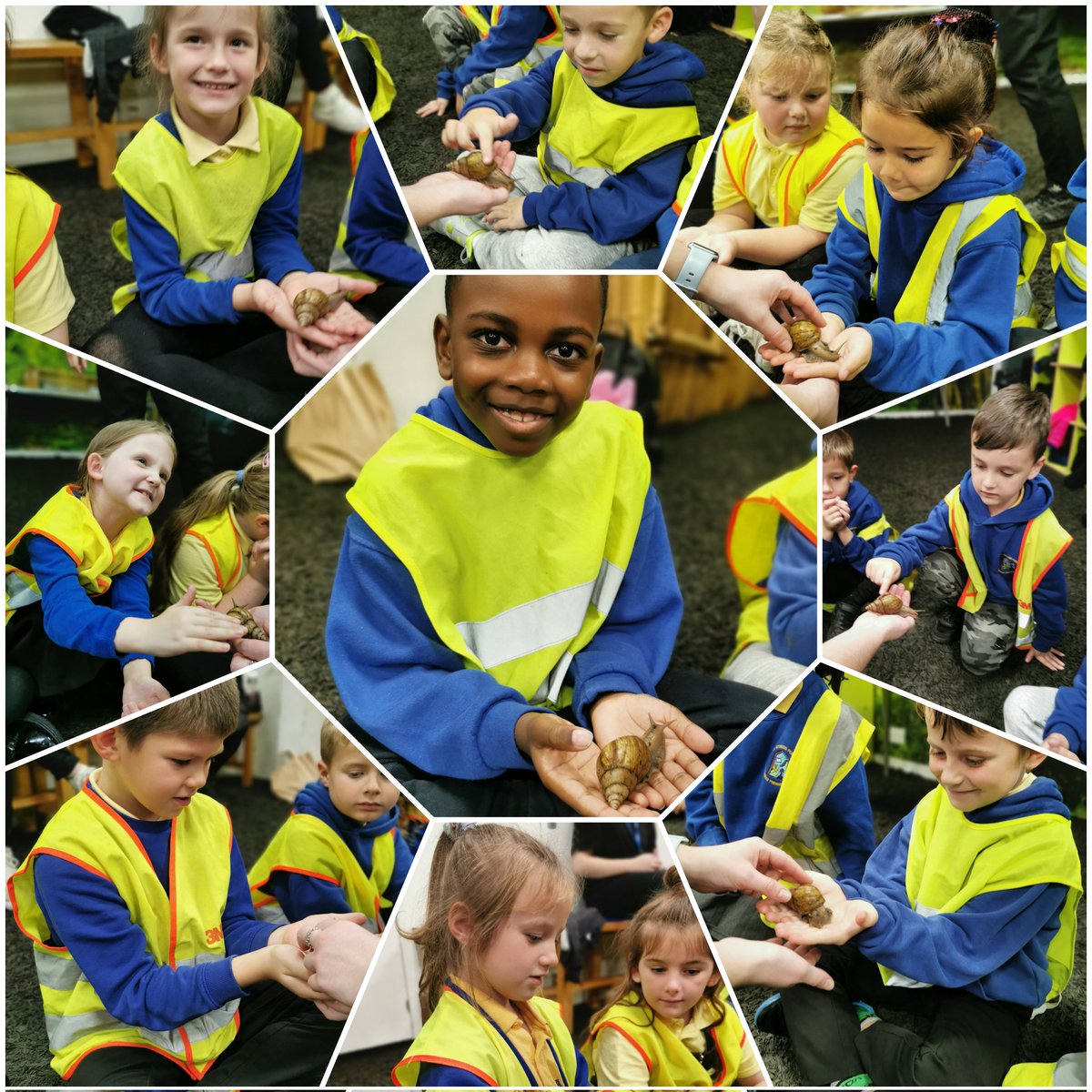 portmeadp's tweet photo. Year 2 loved their trip to Plantasia as part of their Brazil / Rainforest topic🌴🌳🌱🌿🍃.
We had a workshop where we were able to hold some cool creatures 🐍🐌🕷️🐸! #pmdpy2 #pmdpst #pmdptopic #pmdphum https://t.co/cl3lda9LEm