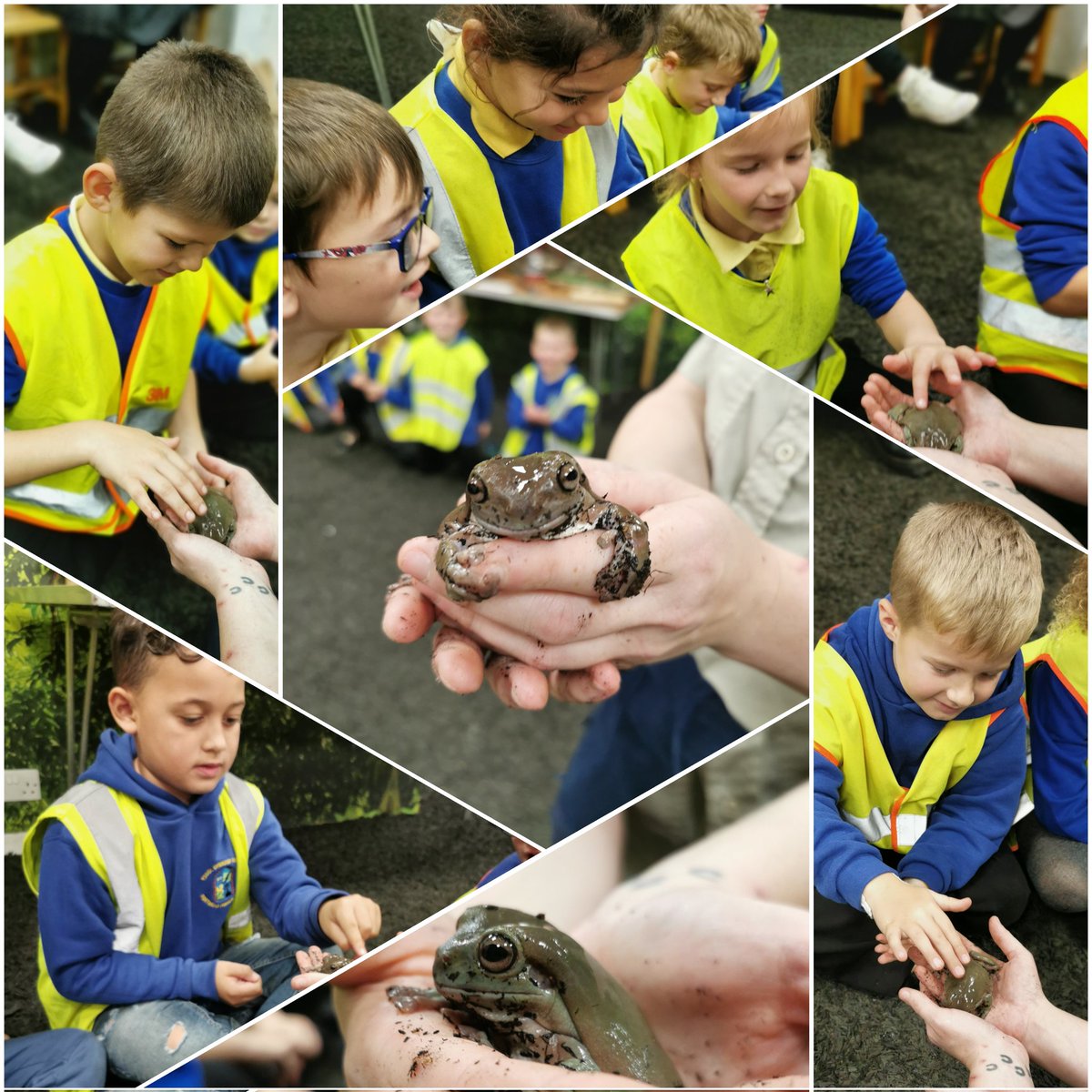 portmeadp's tweet photo. Year 2 loved their trip to Plantasia as part of their Brazil / Rainforest topic🌴🌳🌱🌿🍃.
We had a workshop where we were able to hold some cool creatures 🐍🐌🕷️🐸! #pmdpy2 #pmdpst #pmdptopic #pmdphum https://t.co/cl3lda9LEm