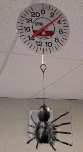 Dan Burns tweet media