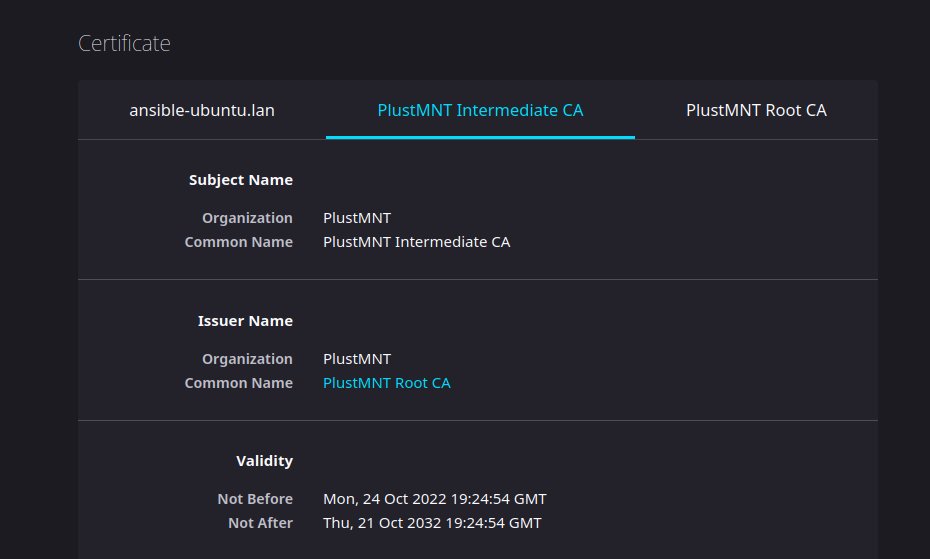 plusmnt tweet picture