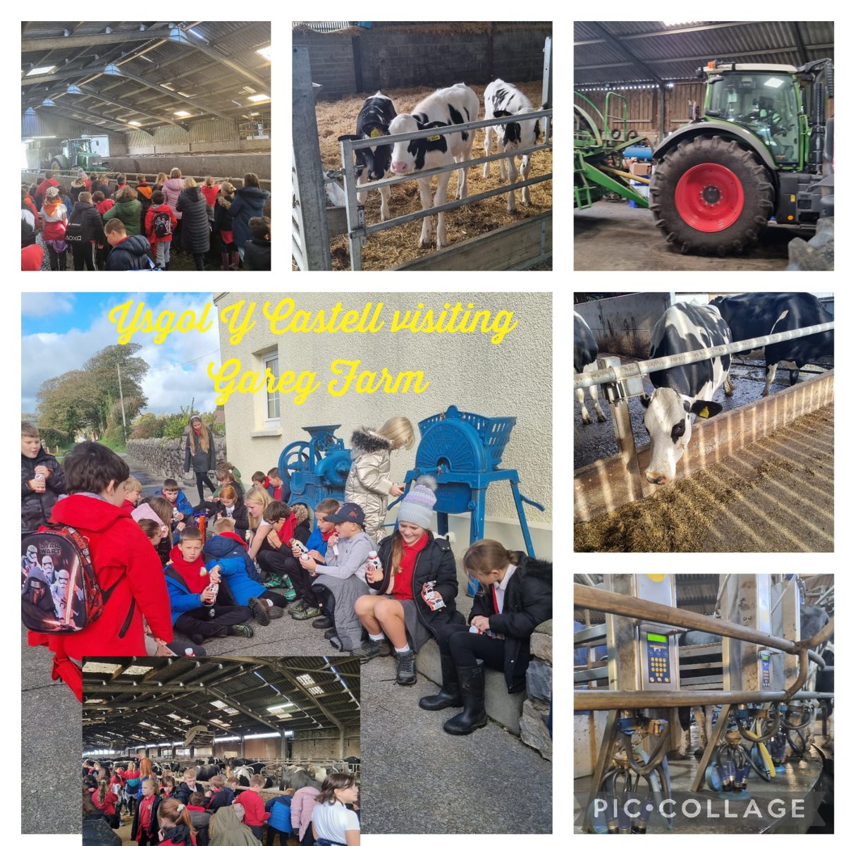 Ysgol Y Castell Kidwelly tweet media