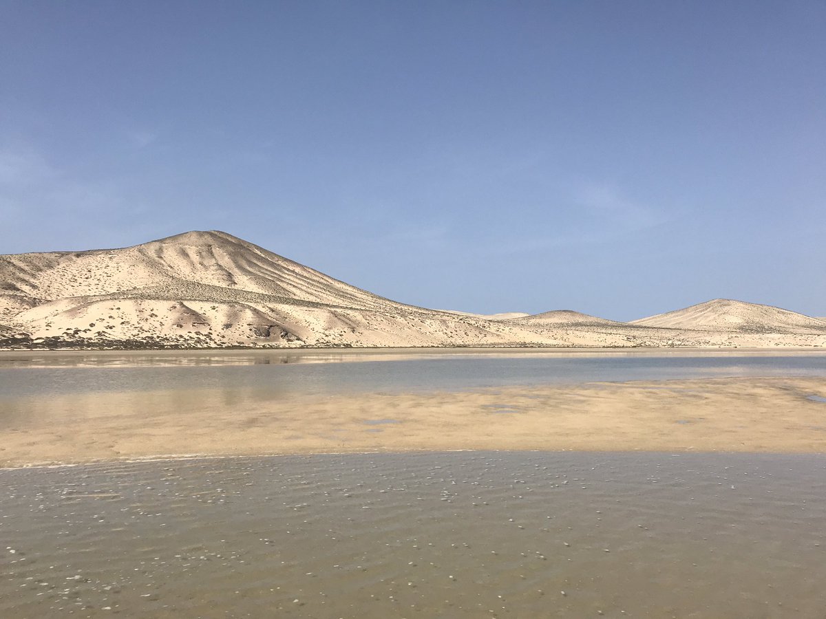 LawrenceKuglin's tweet photo. Four highlights from a week in Fuerteventura: the view from my roof terrace in Morro Jable; a cairn at the summit of El Paso; Sotavento lagoon at high tide; glimpse of Cofete beach from Pico de la Zarza… @InfoFuerte @iFuerteventura @FUEProperty @__Fuerteventura https://t.co/NoIyawD697