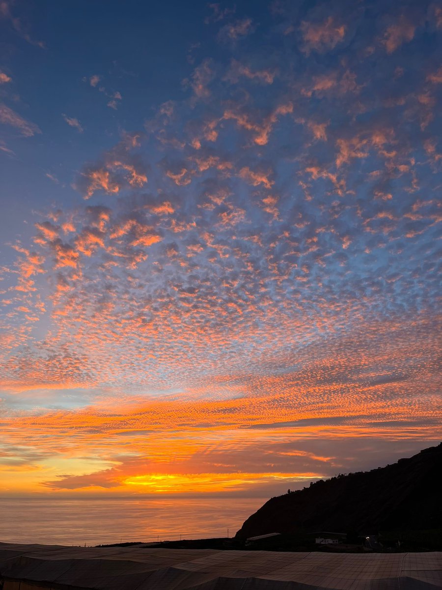 alvaroopz's tweet photo. El atardecer de hoy en La Palma 🧡 https://t.co/3Ghfg0k1gQ