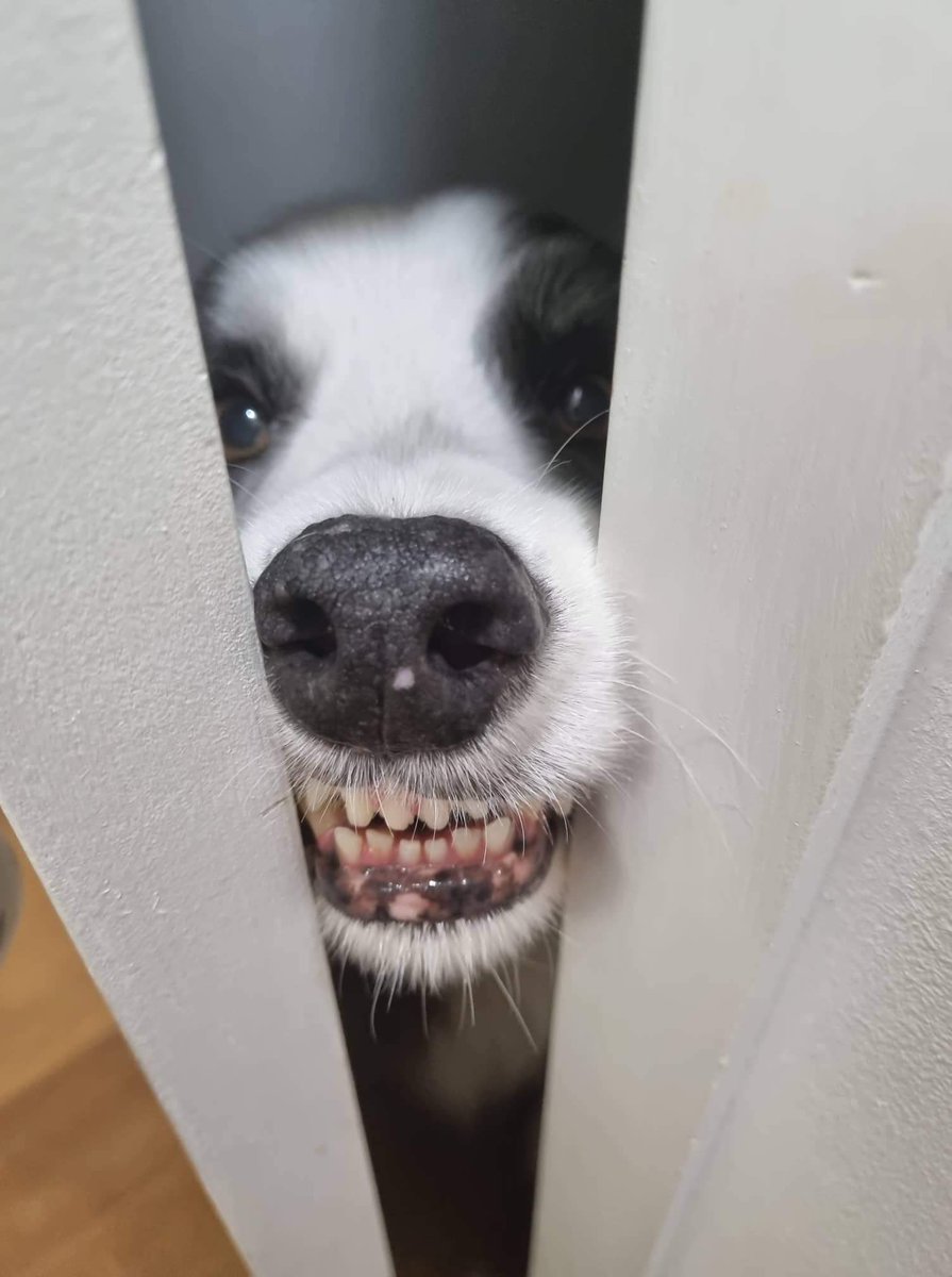 Vurton's tweet photo. Here’s Johnny! https://t.co/aYbeQ1Q9xC