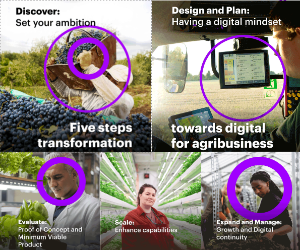 The path toward the digital transformation of agribusiness in Latin America and the Caribbean has unique challenges. Learn more by downloading the study in which <a href="/Accenture/">Accenture</a> collaborated with <a href="/IDBInvest/">IDB Invest</a>: bit.ly/DigitalAgro22

#agribusiness #digitaltransformation #latam #SDGs