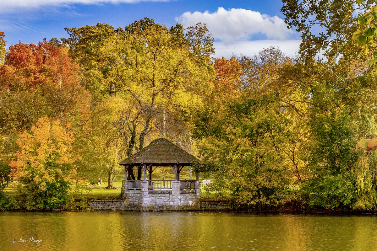 Ivan Morozov tweet media