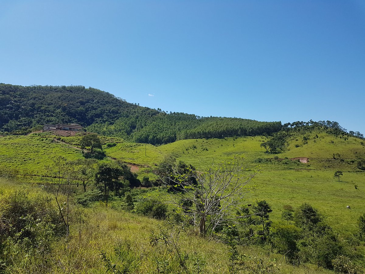Phep3n's tweet photo. Amor pelo meu País 

Sentimento que nos levam a querer o melhor para todos nós.

Talvez não saibamos como fazer, mas sabemos onde queremos chegar.

Por todas as famílias assim como a minha. Por todos os sonhos assim como os meus

Sou Brasileiro e amo meu país. 
Semper Fidelis!🇧🇷 https://t.co/rSNJc7YeMA