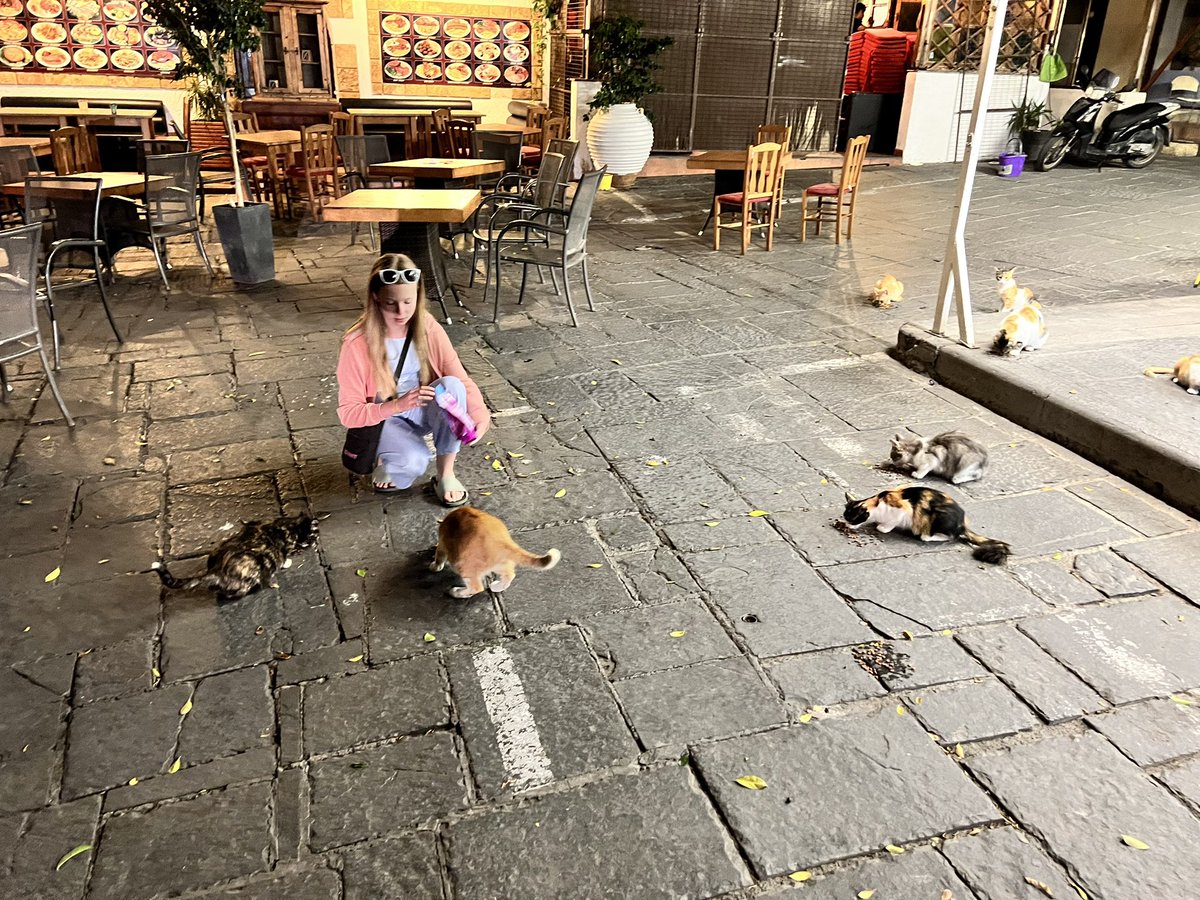 hangonjames1967's tweet photo. My gorgeous daughter tonight in Rhodes old town. Got me to buy cat biscuits so she could treat the strays. She made loads of friends. #helpastray https://t.co/WGKqRFbuIs