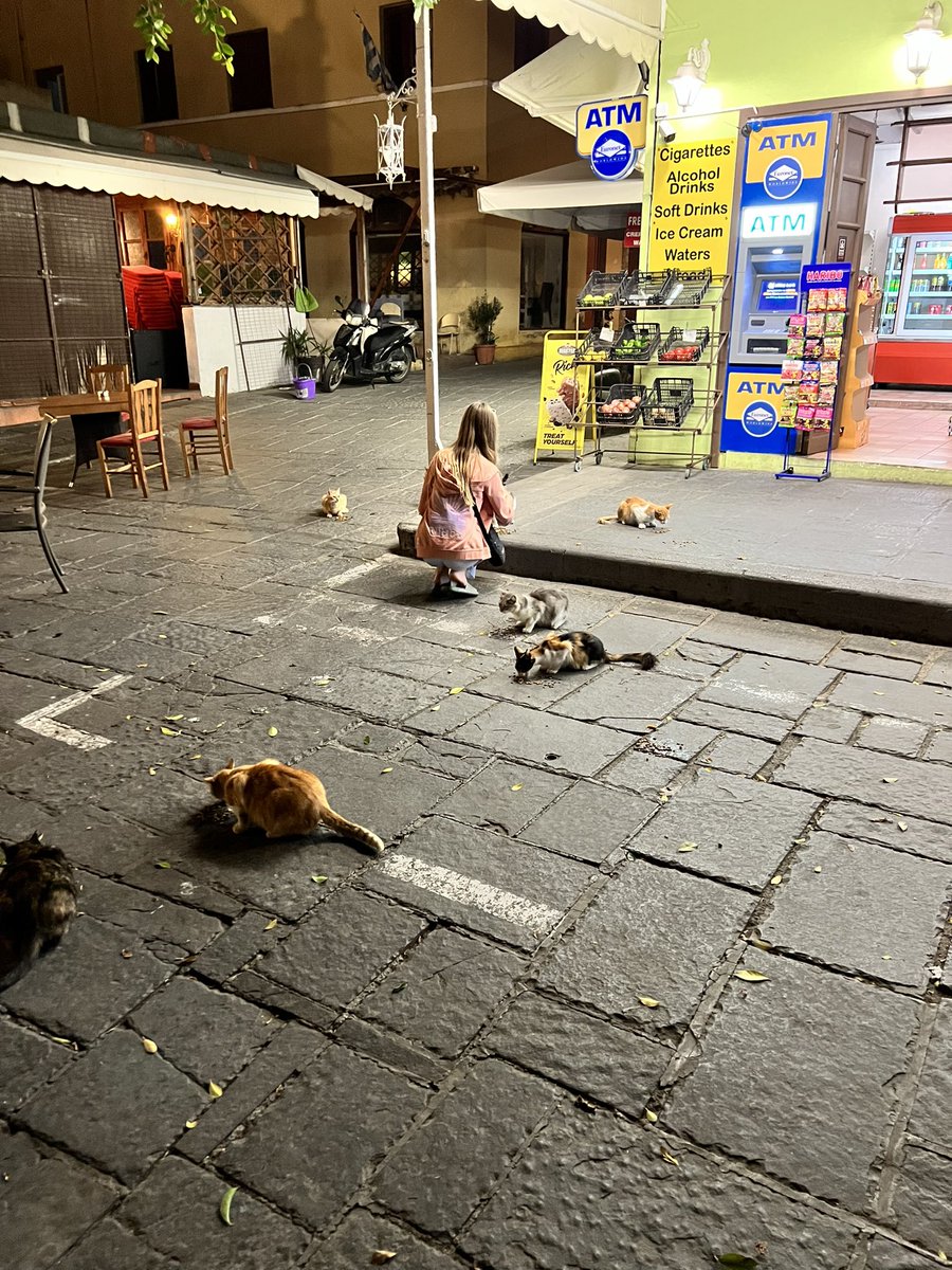 hangonjames1967's tweet photo. My gorgeous daughter tonight in Rhodes old town. Got me to buy cat biscuits so she could treat the strays. She made loads of friends. #helpastray https://t.co/WGKqRFbuIs