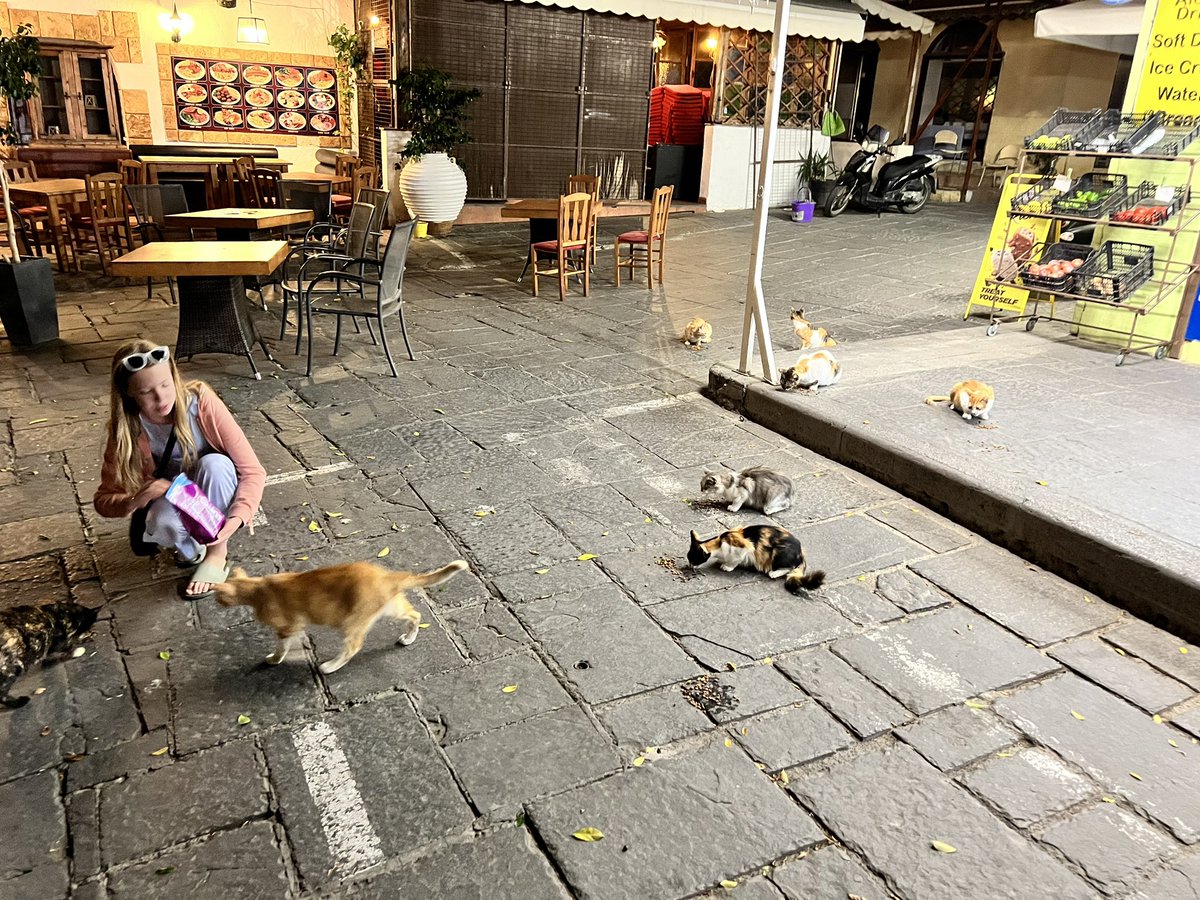 hangonjames1967's tweet photo. My gorgeous daughter tonight in Rhodes old town. Got me to buy cat biscuits so she could treat the strays. She made loads of friends. #helpastray https://t.co/WGKqRFbuIs
