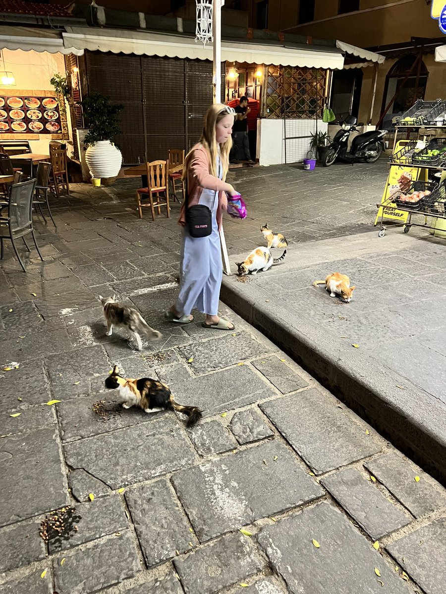 hangonjames1967's tweet photo. My gorgeous daughter tonight in Rhodes old town. Got me to buy cat biscuits so she could treat the strays. She made loads of friends. #helpastray https://t.co/WGKqRFbuIs