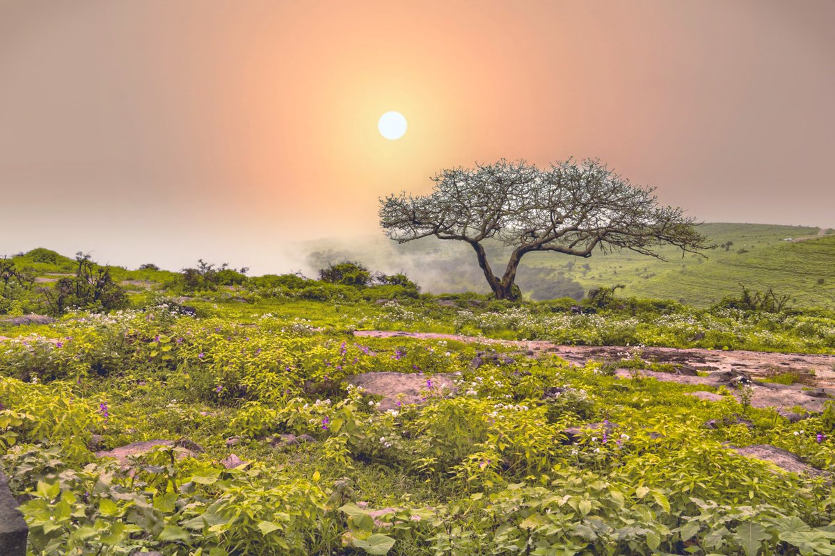 Alnahdi166's tweet photo. يا مهجة الروح يا بلسم الجروح .. يا راحة العاشق يا ساحرة القلوب
#أكسبلور #landscape#explore#Oman https://t.co/uRUFEB6JWy