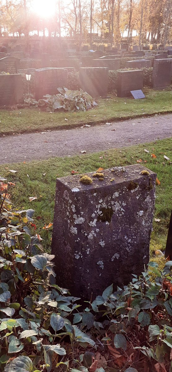 Tänään löysin haudan, josta #Ensikoti tulee huolehtimaan. Rouva Sundberg huolehti testamentillaan Ensikodin mahdollisuudesta auttaa vauvoja. Hautakivessä meille viesti monien vuosien jälkeen: "Auringon kultaamat muistot valaisevat katoamattomalla hohteellaan." #Suojelija #vauvat
