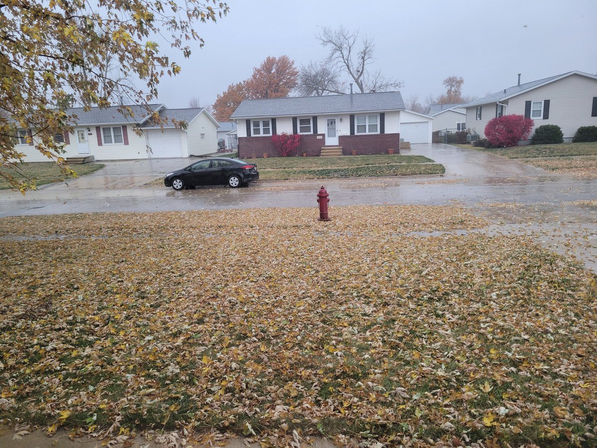 KopelmanWX's tweet photo. April showers bring May flowers.

October rain brings leaves in the drain. https://t.co/st6CCqoJqB