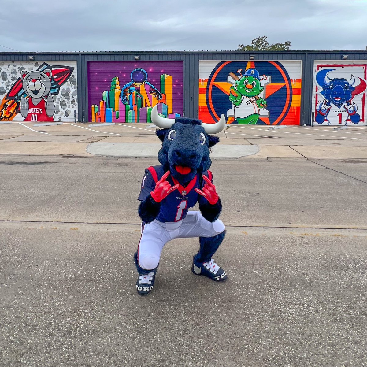 TexansTORO1's tweet photo. bury me in the h https://t.co/7UfUHOTJuj