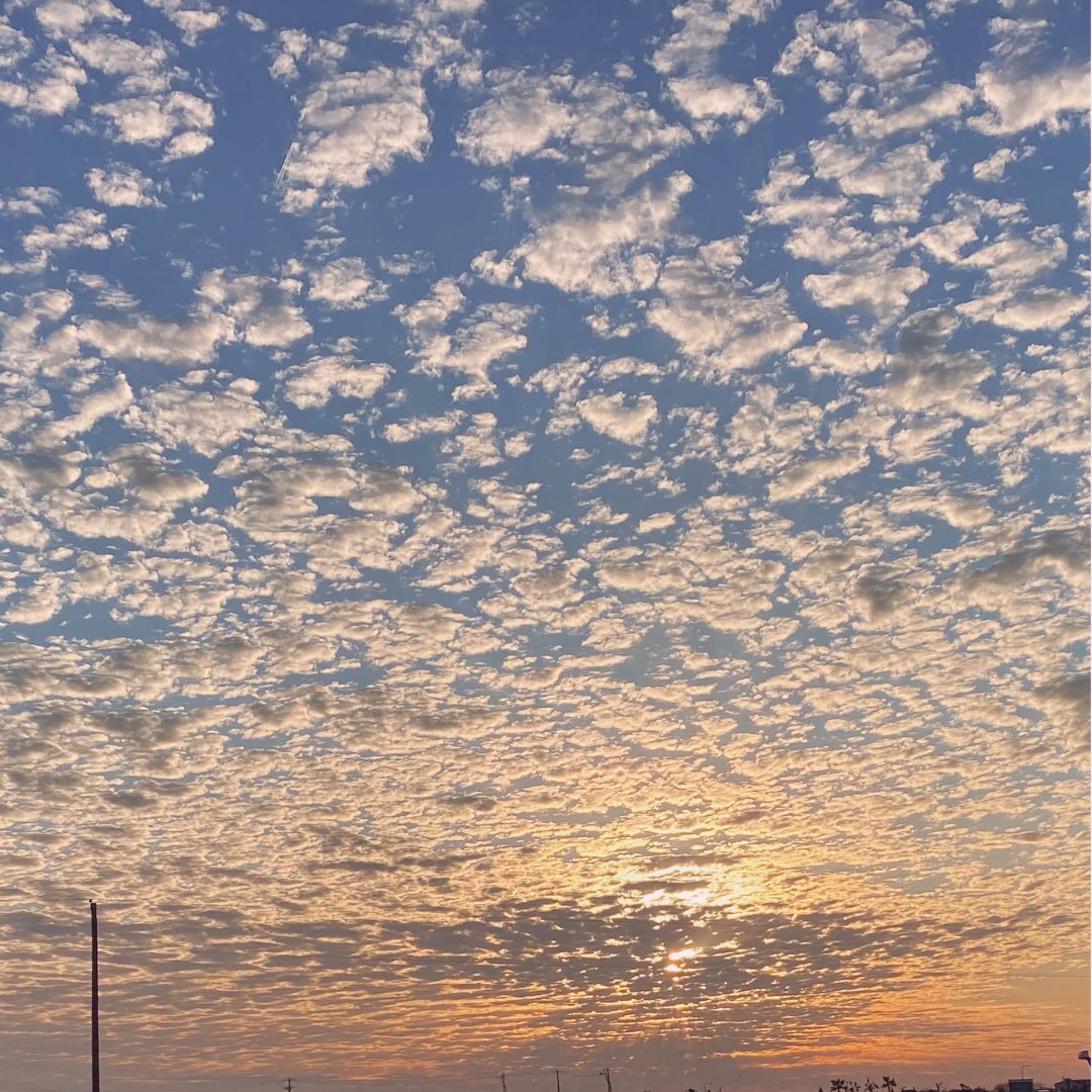 Christ Church tweet media