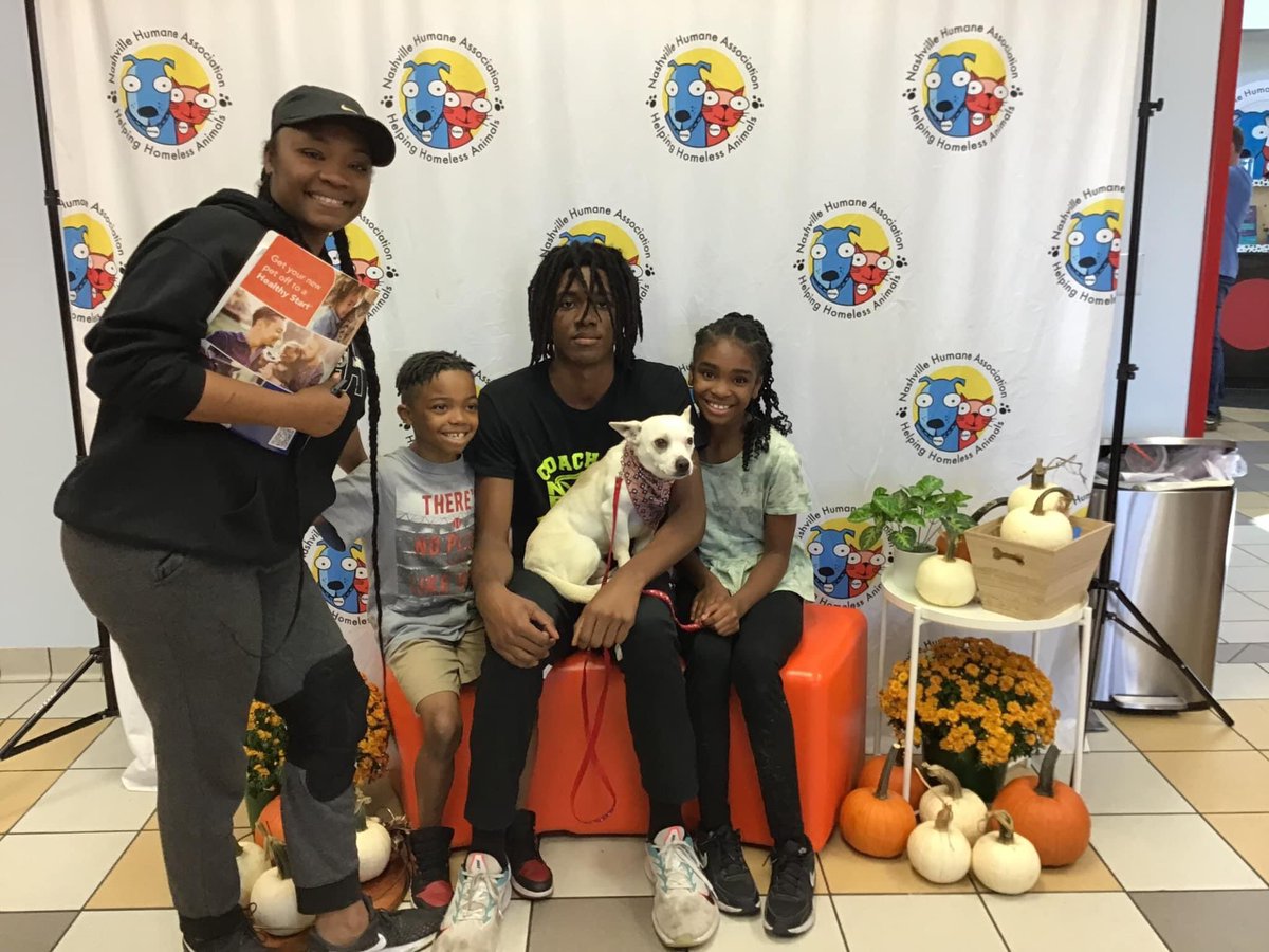 nashvillehumane's tweet photo. Drum Roll Please🥁 🥁 🥁 Thanks to @MarsPetcareUS + @PedigreeFound we had 110 sponsored adoptions this weekend during the #ServiceHumansNeeded Adoption Event! How wonderful is that? So very thankful! Please enjoy this thread of “I’ve Been Adopted” snaps from #SundayFunday, 10/23. https://t.co/wO9UOpg4CS