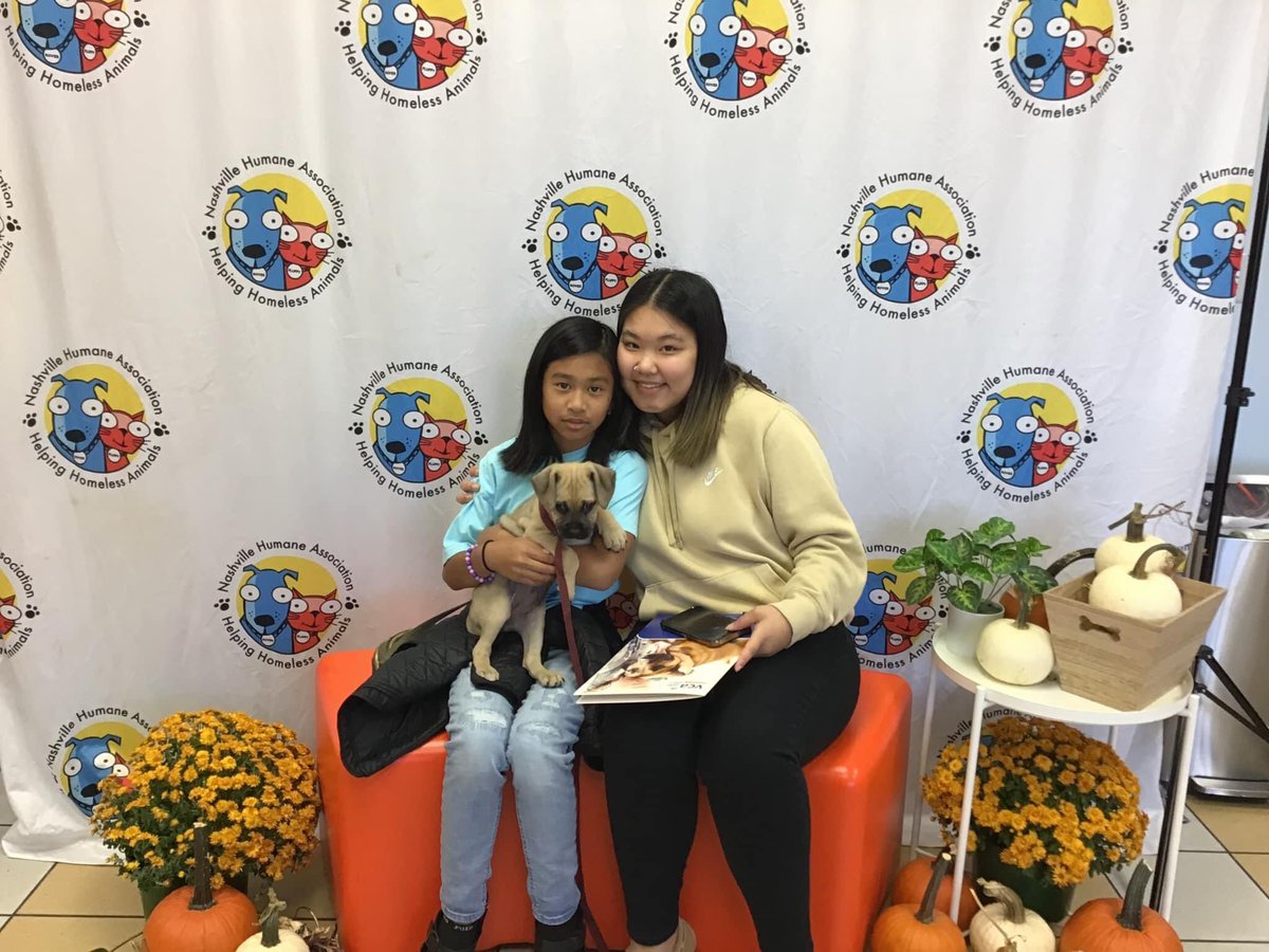 nashvillehumane's tweet photo. Drum Roll Please🥁 🥁 🥁 Thanks to @MarsPetcareUS + @PedigreeFound we had 110 sponsored adoptions this weekend during the #ServiceHumansNeeded Adoption Event! How wonderful is that? So very thankful! Please enjoy this thread of “I’ve Been Adopted” snaps from #SundayFunday, 10/23. https://t.co/wO9UOpg4CS