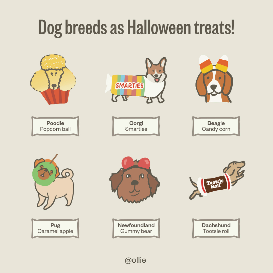 We're gearing up for Halloween and have treats on the mind. What classic treat does your dog most resemble? Tell us in the comments!