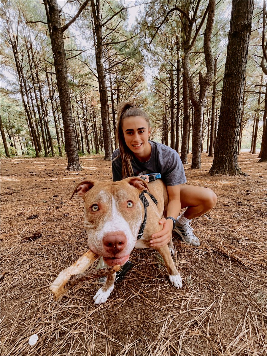 Rex’s first trip to the dog park!