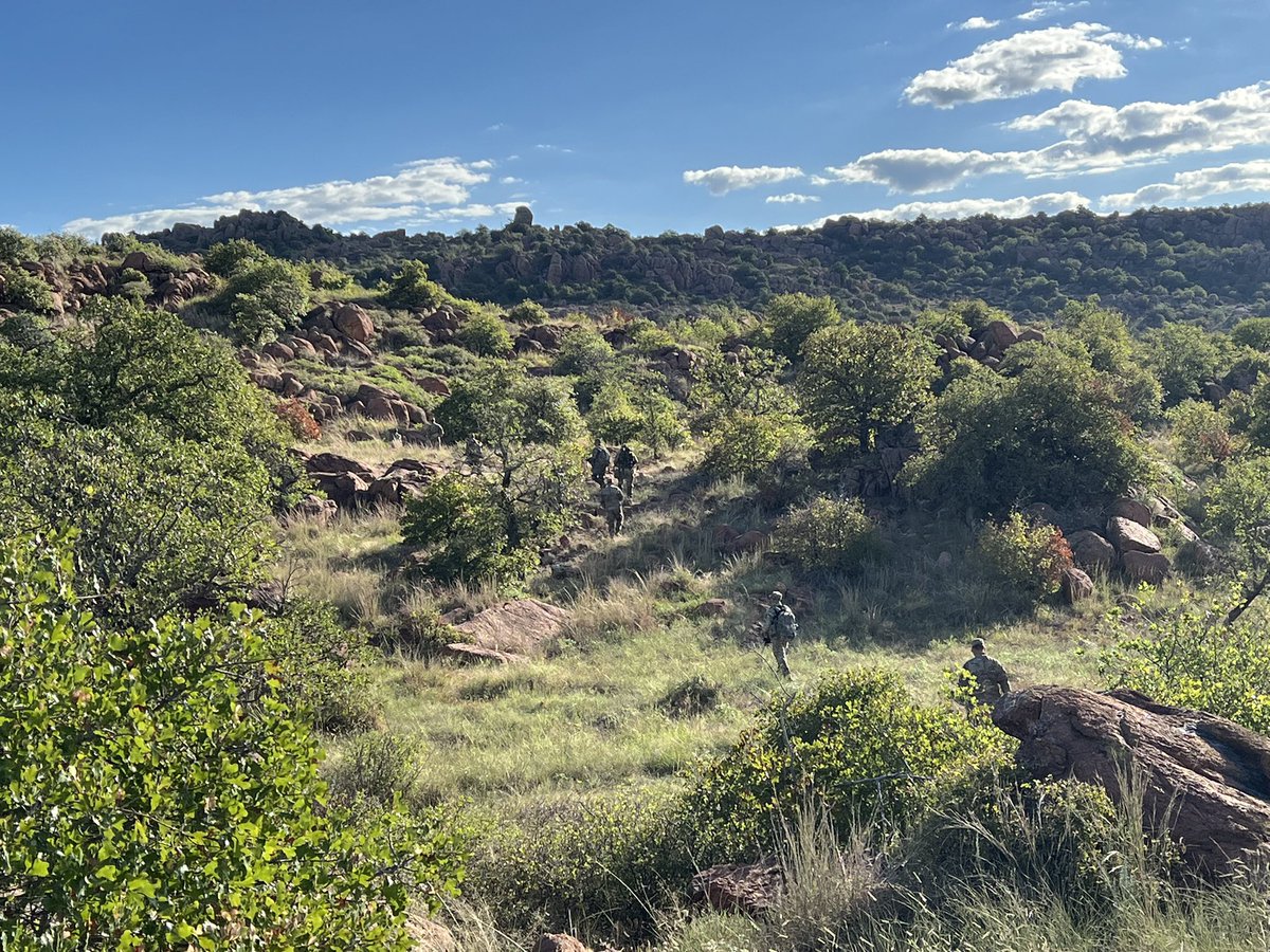 OTD-S CDR tweet media