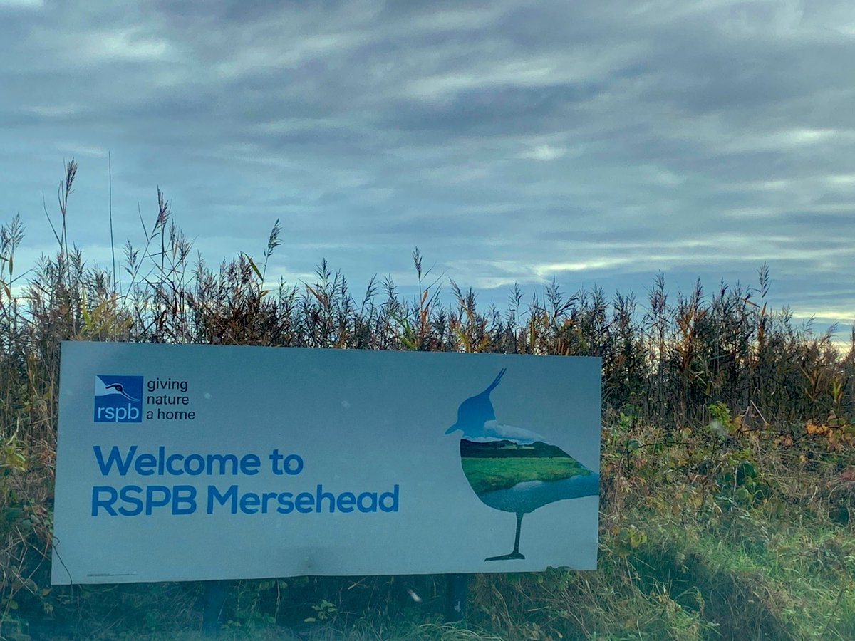 angnatur's tweet photo. Made it! 
#Scotland #Mersehead #rspbMesreshead #Alban 🏴󠁧󠁢󠁳󠁣󠁴󠁿 https://t.co/YhItEEtJCr