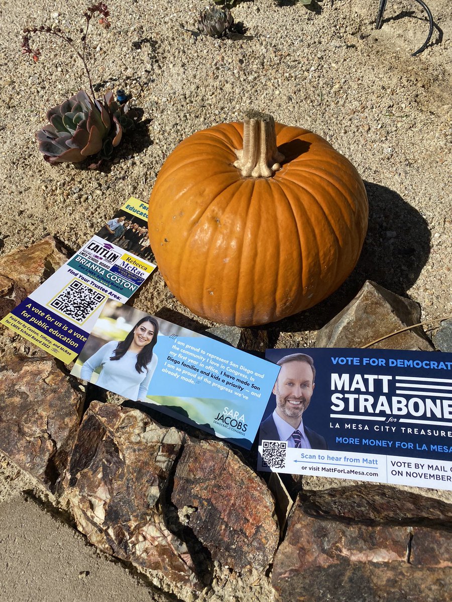 MyersSD30's tweet photo. Canvassing today for some amazing candidates in La Mesa. #GoMattGo @MattStrabone for Treasurer, @RepSaraJacobs for re-election and slate for LMSV School District. https://t.co/iwi1t4a1Dm