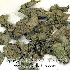 50Plushealths's tweet photo. #ChineseHerbs– #KunBu or #HaiDai (Thallus Laminariae seu Eckloniae) https://t.co/CWdl0Ihnlc https://t.co/vEQMkdEbQp