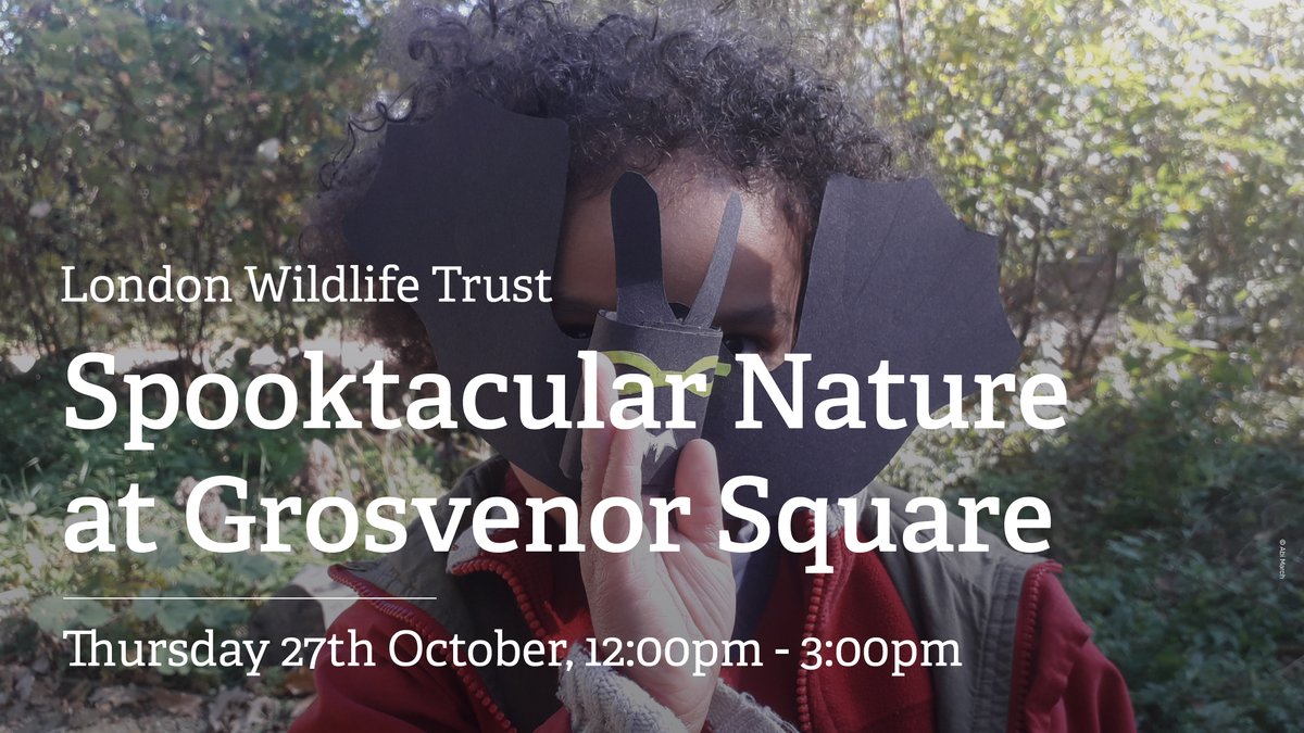 Looking for activities this October half term? 

Join @WildLondon in Grosvenor Square on Thursday 27th October and spend an afternoon learning about super spiders and brilliant bats!  Drop in from 12pm-3pm. 

For more info and to book your free place 👇

bit.ly/3TBL7DF