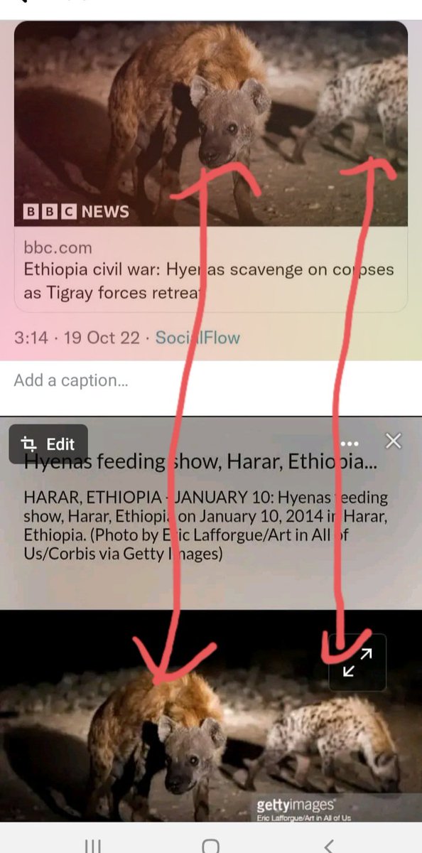 Sultan_Abagissa's tweet photo. አጋልጥ!
ትልቁን የዓለማችንን ሚዲያ #BBC ን እንጋልጥ!

ሀረር ላይ ለቱሪዝም ለማዳ ጆቦችን ፎቶ ከትግራይ ጦርነት ጋር ጅቦችን በማገናኘት ዜና ተሰርቶ ተሰራጭቷል፣ ዜናውም ፎቶውም የበሬ ወለዴ ትርክት ናቸው። ጋዜጠኞቹም በብር የተገዙ ናቸው.
#DisarmTPF https://t.co/9Iq35bmJd5