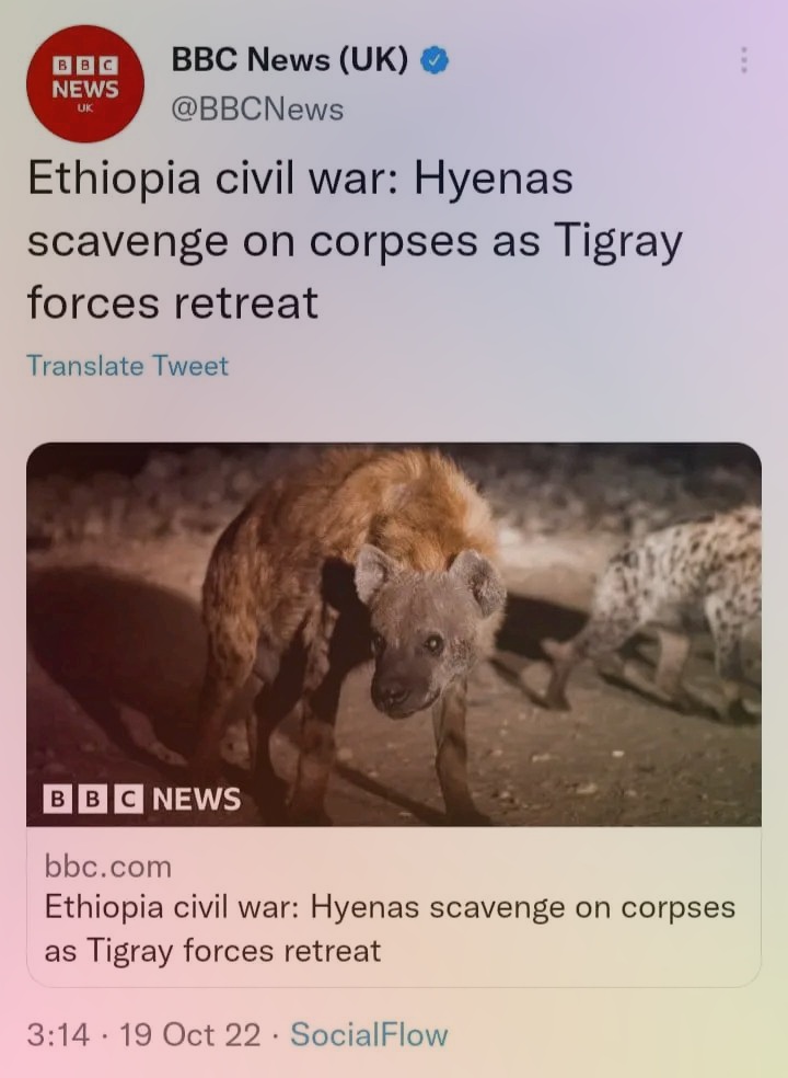 Sultan_Abagissa's tweet photo. አጋልጥ!
ትልቁን የዓለማችንን ሚዲያ #BBC ን እንጋልጥ!

ሀረር ላይ ለቱሪዝም ለማዳ ጆቦችን ፎቶ ከትግራይ ጦርነት ጋር ጅቦችን በማገናኘት ዜና ተሰርቶ ተሰራጭቷል፣ ዜናውም ፎቶውም የበሬ ወለዴ ትርክት ናቸው። ጋዜጠኞቹም በብር የተገዙ ናቸው.
#DisarmTPF https://t.co/9Iq35bmJd5