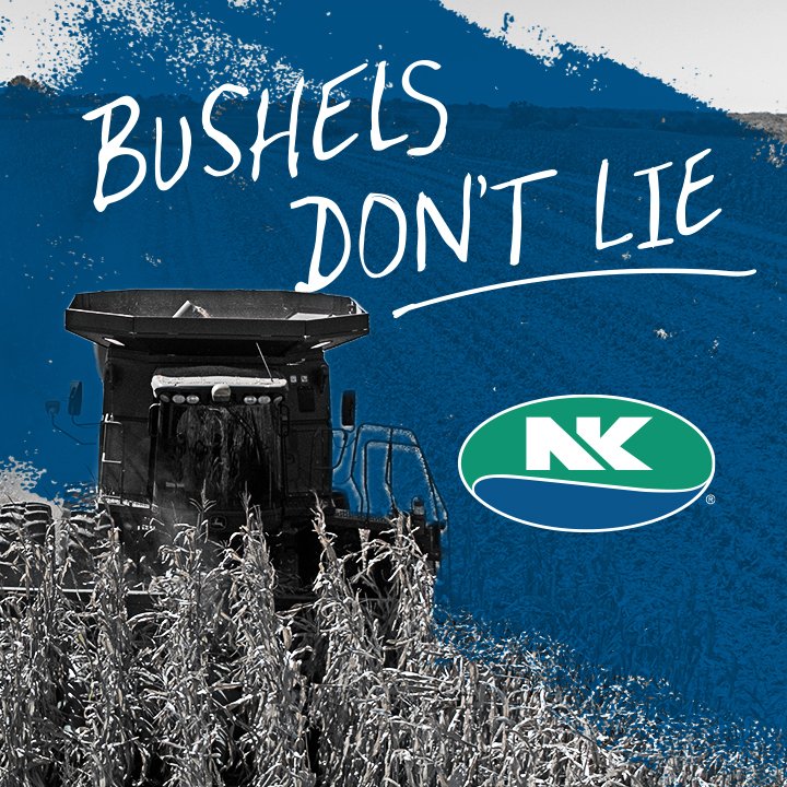 🚨NK0877-V 🌽 placed 🥇 in the Emmetsburg @WinFieldUnited Answer Plot at 271.7 bu/a!

#HarvestNK22 <a href="/NKSeeds/">NK Seeds</a>