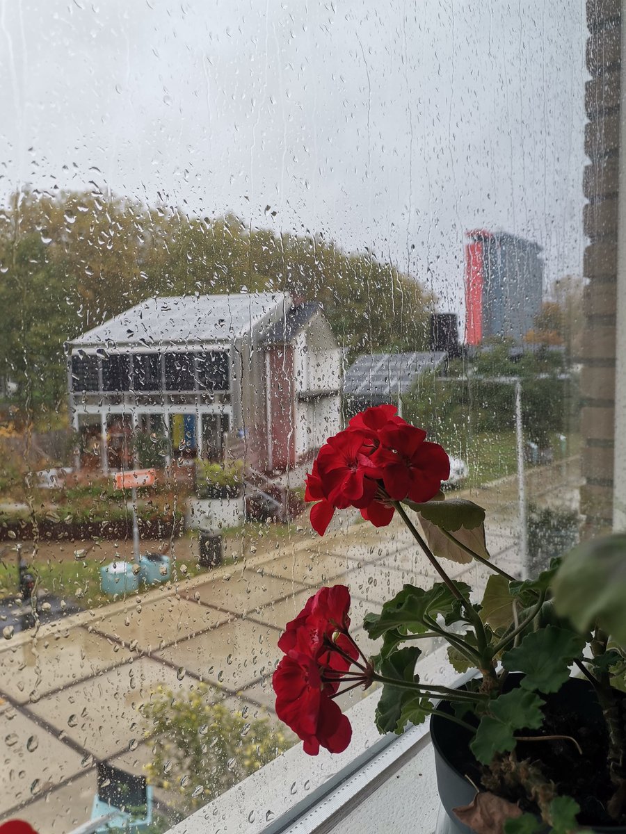 #greenvillage #tudelft #delft 
<a href="/TheGrnVillage/">The Green Village</a> @dreamhus2019