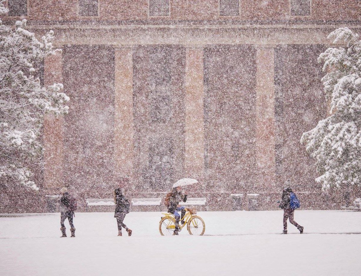 CU Boulder Libraries tweet media