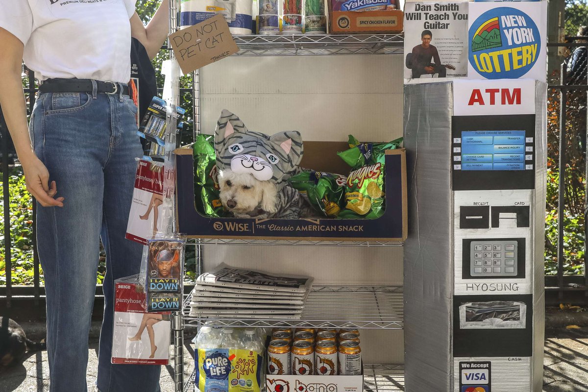 If you missed out on the Tompkins Square Halloween Dog Festival last weekend that doesn't mean that you can't see all of the adorable costumes! From bodega cats to lantern flies, check out these incredible looks courtesy of #TheGothamist . . . 📸: Scott Lynch