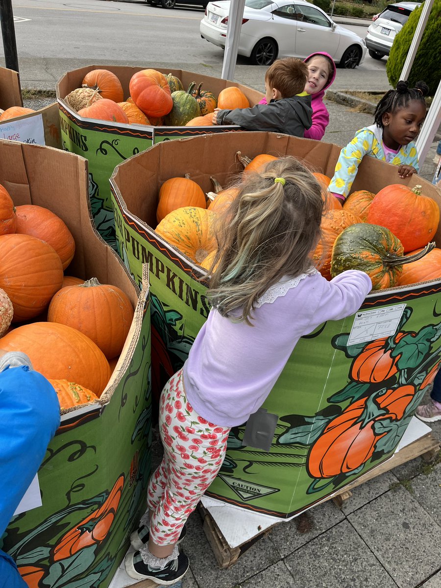 smusgrove2's tweet photo. Look what you can find when you shop locally! Check out the variety of pumpkins @ Joy Market! #outdoorlearning #supportlocalmarkets #sd40learns #kelvinkindies @LKCougars https://t.co/MbgmCx8GgQ