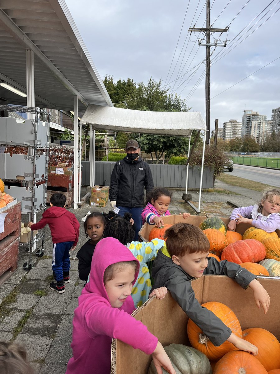 smusgrove2's tweet photo. Look what you can find when you shop locally! Check out the variety of pumpkins @ Joy Market! #outdoorlearning #supportlocalmarkets #sd40learns #kelvinkindies @LKCougars https://t.co/MbgmCx8GgQ