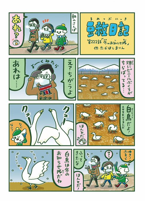 雪虫と白鳥は冬のお知らせ隊ですね🦢
#豆粒日記 #十勝毎日新聞 
