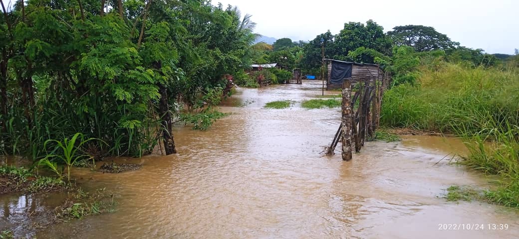 HFVZLALARA's tweet photo. Las inundaciones de varios sectores ocurridas hoy en Sarare y La Miel en el municipio Simón Planas del Estado Lara   nos da la razón en la exigencia de un plan de Prevención y un Plan de Contingencia que hasta ahora se desconoce por parte del gobierno regional y nacional https://t.co/Hi5JcN0dtb